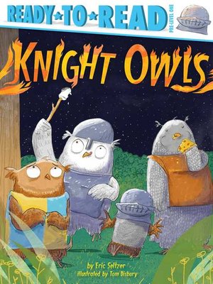 cover image of Knight Owls